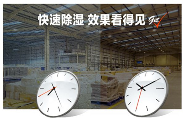 體育館地下室易受潮如何改善？推薦使用去濕機來防潮