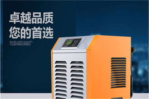 選擇除濕機(jī)品牌時(shí)，考慮新舊并非唯一標(biāo)準(zhǔn)。現(xiàn)代技術(shù)可能使新型號(hào)更高效、功能更多樣化。因此，在購買除濕機(jī)時(shí)，應(yīng)綜合考慮品牌的聲譽(yù)、性能、能效和用戶評(píng)價(jià)等因素來做出明智的決策。