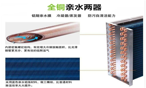 地下室倉庫使用除濕機，確保倉庫干燥無濕氣
